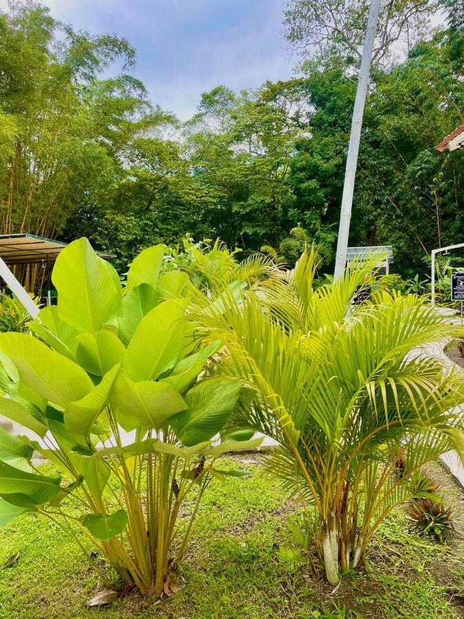 Отель Grand Park Manuel Antonio Кепос Экстерьер фото